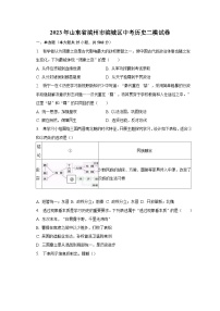 2023年山东省滨州市滨城区中考历史二模试卷（含解析）