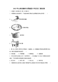 2023年山东省德州市武城县中考历史二模试卷（含解析）