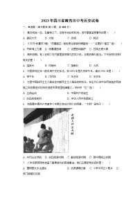 2023年四川省南充市中考历史试卷(含解析）