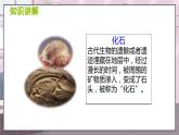 七历上（人教）第1单元  第1课 中国境内早期人类的代表——北京人 PPT课件