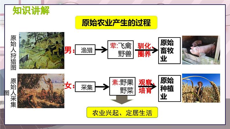 七历上（人教）第1单元  第2课 原始农耕生活 PPT课件第5页
