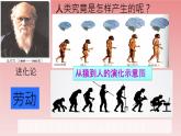 人教部编版七年级上学期历史第1课--中国境内早期的人类代表――北京人课件