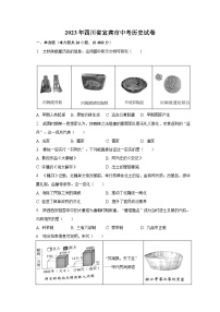 2023年四川省宜宾市中考历史试卷（含解析）