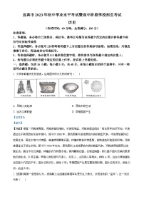 2023年四川省宜宾市中考历史真题（解析版）