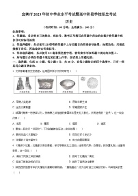 2023年四川省宜宾市中考历史真题（原卷版）