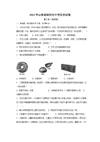 2023年山东省滨州市中考历史试卷(含解析）