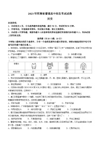 2023年河南省中考历史中考真题