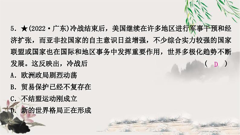 中考历史复习世界现代史第四单元走向和平发展的世界作业课件06