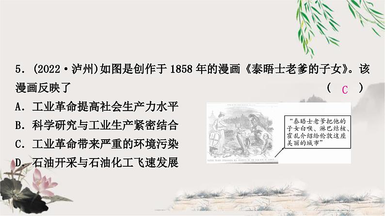 中考历史复习世界近代史第五单元第二次工业革命和近代科学文化作业课件06