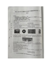 河南省洛阳市老城区2022-2023学年七年级下学期6月期末历史试题