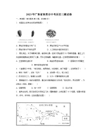 2023年广东省东莞市中考历史三模试卷（含解析）