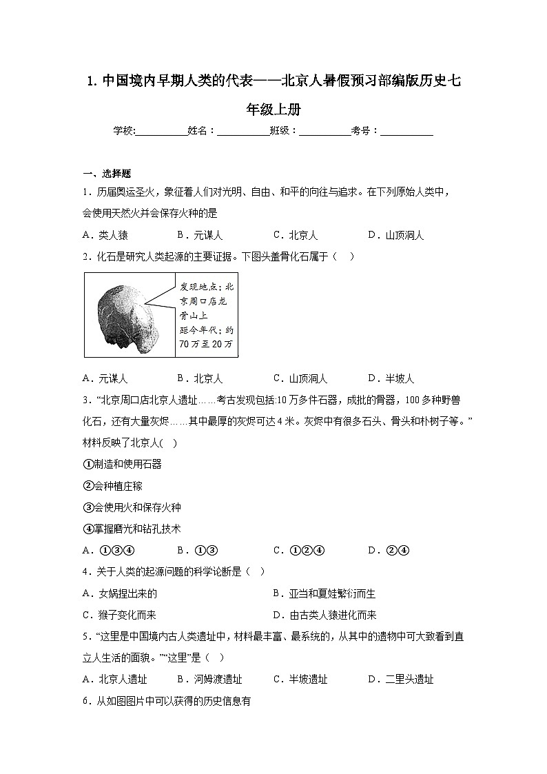 1.中国境内早期人类的代表——北京人暑假预习部编版历史七年级上册第1页