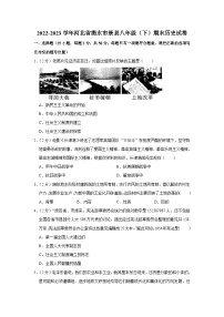 河北省衡水市景县2022-2023学年部编版八年级下学期期末历史试卷（含答案）