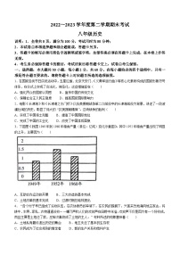 广东省茂名市电白区2022-2023学年八年级下学期期末历史试题（含答案）