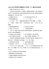 2022-2023学年四川省南充市八年级（下）期末历史试卷（含解析）