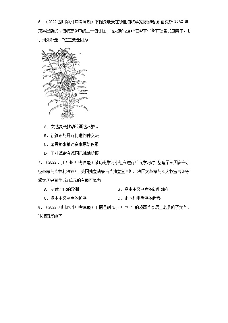 四川泸州三年（2021-2023）中考历史真题分题型分类汇编-02选择题（世界史）第2页