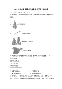 2023年山东省聊城市阳谷县中考历史三模试卷（含解析）