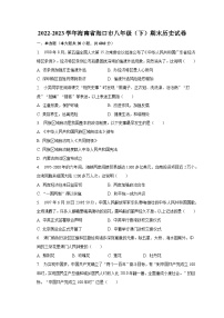 2022-2023学年海南省海口市八年级（下）期末历史试卷（含解析）