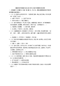 安徽省安庆市桐城市2022-2023学年七年级下学期期末历史试卷（解析版）