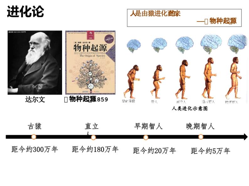 第1课 中国早期人类的代表──北京人课件PPT02