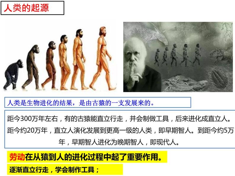 第1课 中国早期人类的代表──北京人课件PPT05