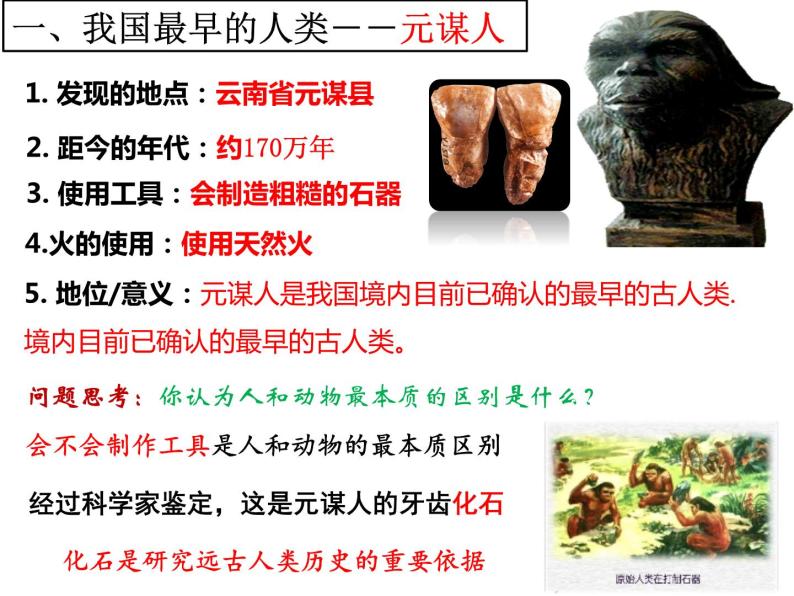 第1课 中国早期人类的代表──北京人课件PPT07