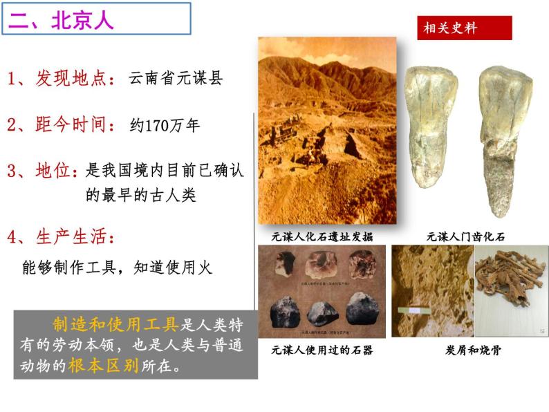 第1课 中国早期人类的代表──北京人课件PPT08