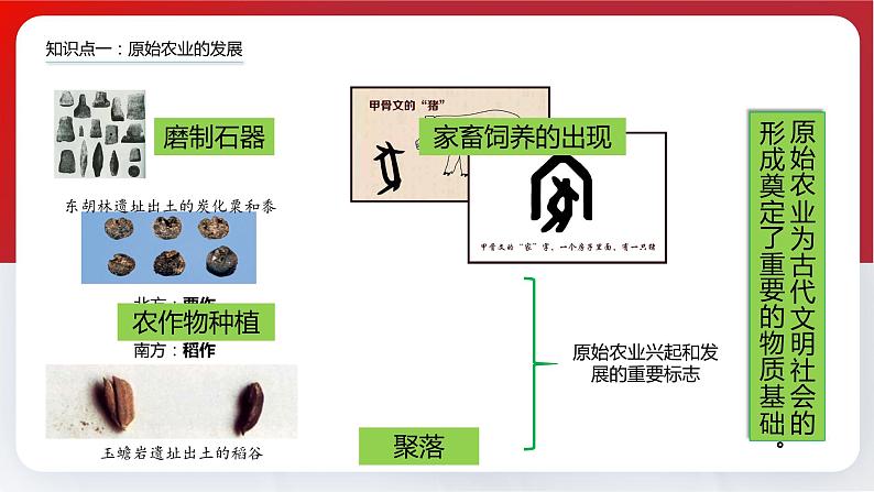 部编版历史七年级上册 第2课  原始农耕生活（教学课件+导学案+教案+同步练习）08