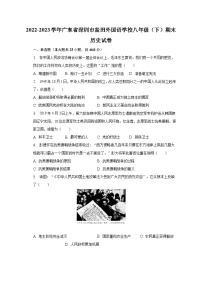 2022-2023学年广东省深圳市盐田外国语学校八年级（下）期末历史试卷（含解析）