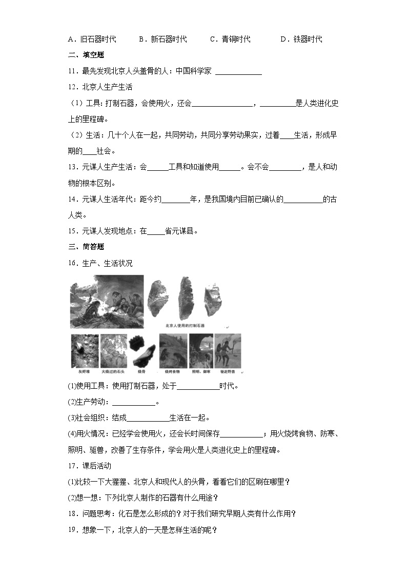 部编版七年级历史上册 第1课 中国境内早期人类的代表—北京人  同步练习（含解析）03