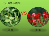《鸦片战争》优课教学课件