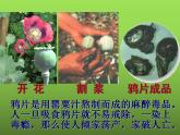 《鸦片战争》优课教学课件