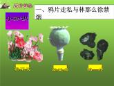 《鸦片战争》优质课教学课件