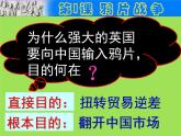 中国开始沦为半殖民地半封建社会单元综合复习课件