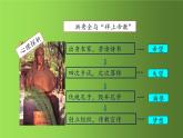 《太平天国运动》优质课教学一等奖课件