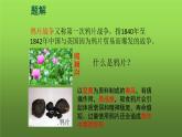 《鸦片战争》公开课教学课件