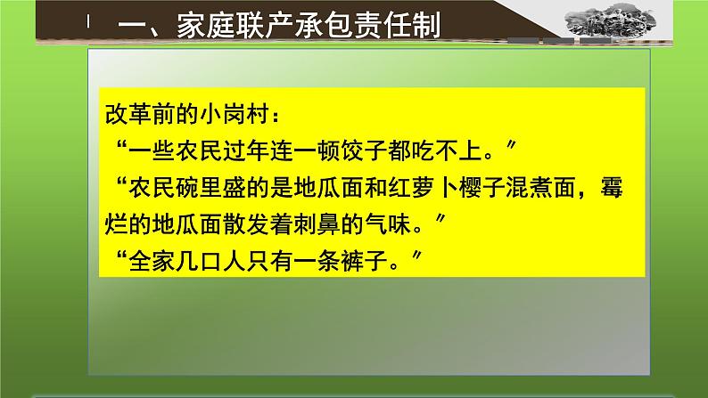 《经济体制改革》教学专用课件06