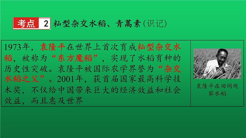 《科技文化与社会生活》复习教学课件第5页