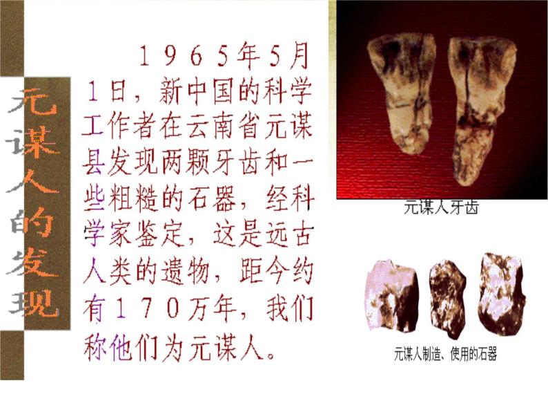 《中国早期人类的代表 北京人》优质课教学课件05