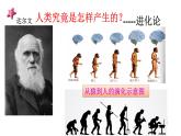 《中国早期人类的代表 北京人》优质课一等奖课件