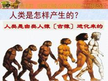人教部编版七年级上册第一课 中国境内早期人类的代表—北京人教学课件ppt_ppt01