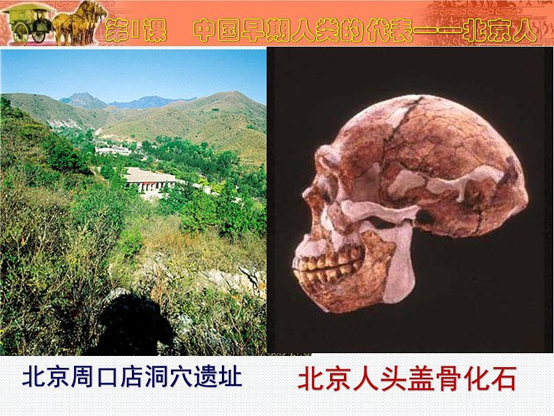 《中国早期人类的代表——北京人》优课教学课件第7页