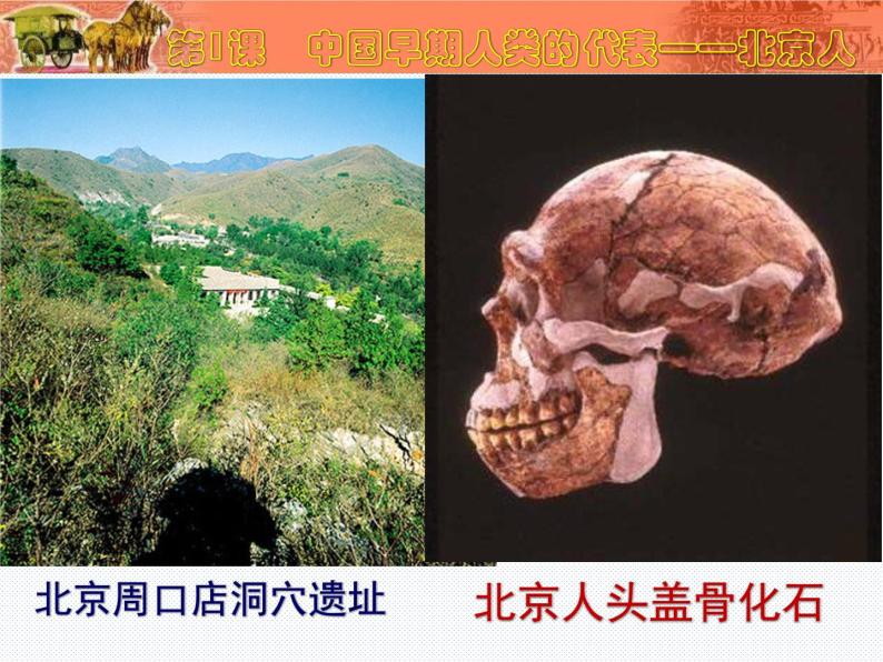 《中国早期人类的代表——北京人》优课教学课件07