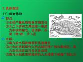 《宋代经济的发展》公开课教学一等奖课件