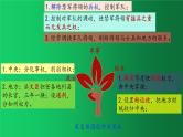 《辽宋夏金元时期：民族关系发展和社会变化》复习课件