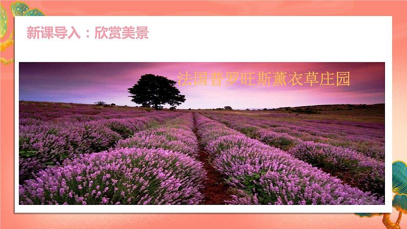 人教部编版历史九年级上册7.《 基督教的兴起和法兰克王国》（课件PPT+教案+导学案）02