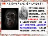 第1课 中国境内早期人类的代表——北京人【课件】（23页）