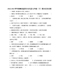 2022-2023学年湖南省益阳市安化县七年级（下）期末历史试卷（含解析）