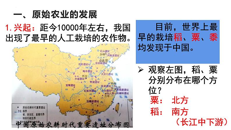 2023-2024学年部编版七年级历史上册 第2课 原始农耕生活 课件第4页