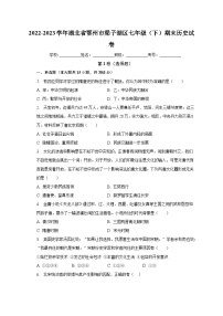 2022-2023学年湖北省鄂州市梁子湖区七年级（下）期末历史试卷（含解析）